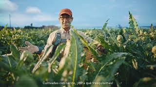 Aldi BRÓCOLI 20s anuncio