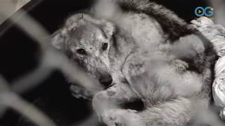 Kris Jones - You Rescued Me