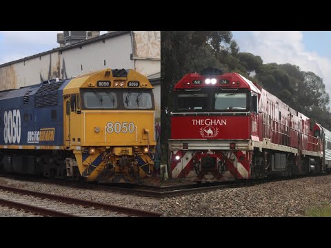 The return of The Ghan and 8050 leads on the Mainline | Standard Gauge Action Ep 10