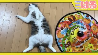 事故が起こってしまった電動猫じゃらし 持っている方はクッソ注意【召喚獣はる】