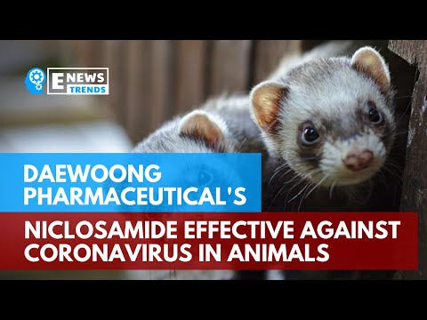 , title : 'Daewoong Pharmaceutical’s Niclosamide Effective Against Coronavirus In Animals'