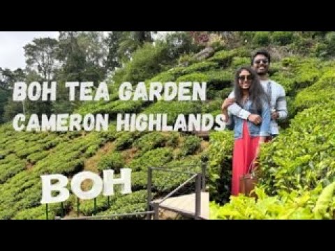 Cameron Highlands | Day - 2 | BOH Tea Farm | Honey Bee Farm | Deekshana Telugu Vlogs | Malaysia | KL