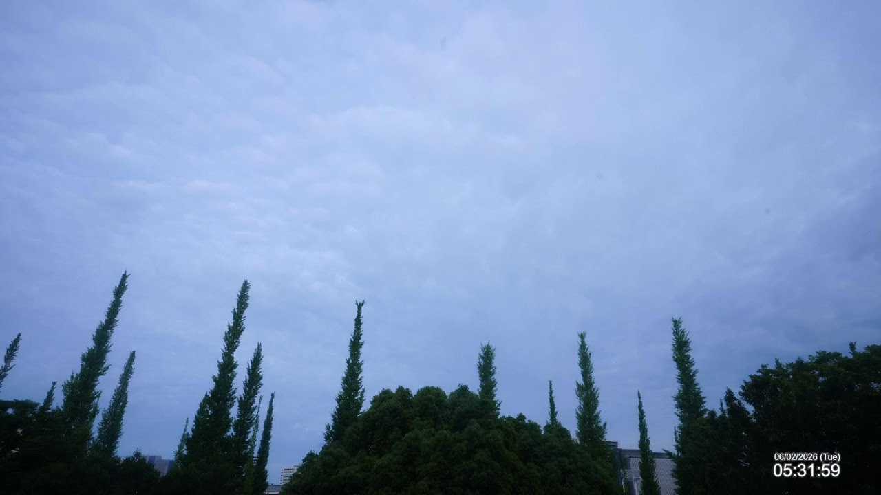Live webcam view of Cielo de la Avenida Ginkgo Jingu Gaien