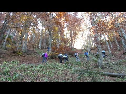 Cima Marzola con vista sul Lago di Caldonazzo