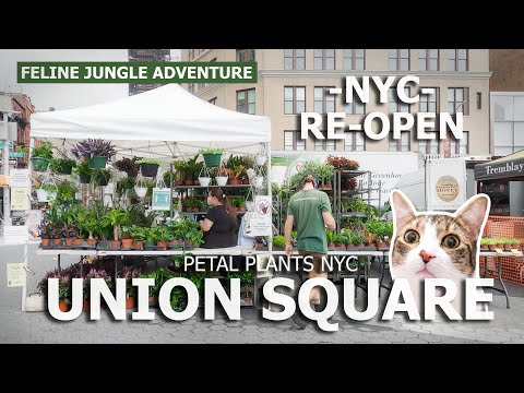 Union Square Farmers Market | NYC Plant Shop Tour Guide