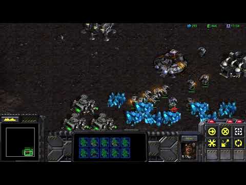 Starcraft Custom 1