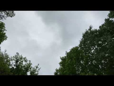 Are you “pedantic”?