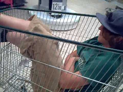 Mit Olli Und Einkaufwagen im Supermarkt