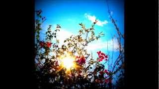 DJ Cam Quartet - Everybody Loves the Sunshine (feat. Inlove)