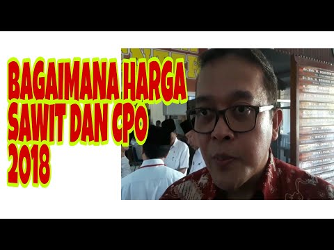 Satu set latihan untuk membakar lemak internal yang Cara cepat menyingkirkan lemak di sisi