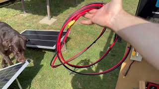 Harbor freight vs Weize 100 watt solar panels