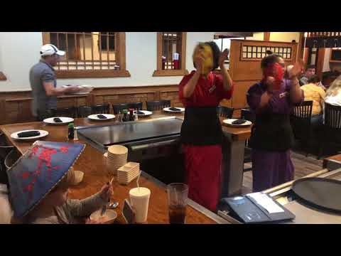 Knox turns 4 and into a lamp shade