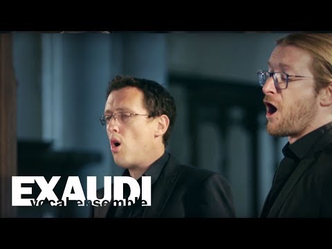 Nicolà Vicentino: Madonna, il poco dolce - Exaudi