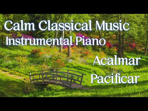 Calm Classical Music | Instrumental Piano | Calm and Peace