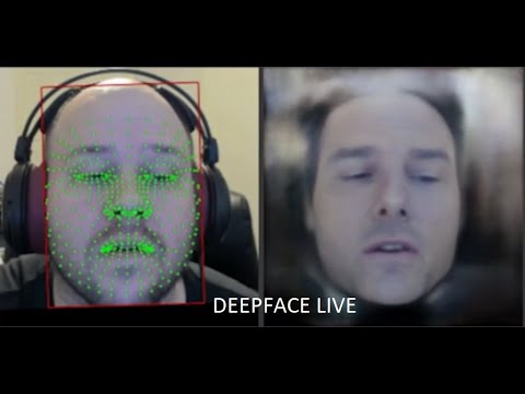 DeepFace Live - Real Time Deepfaked Livestreaming