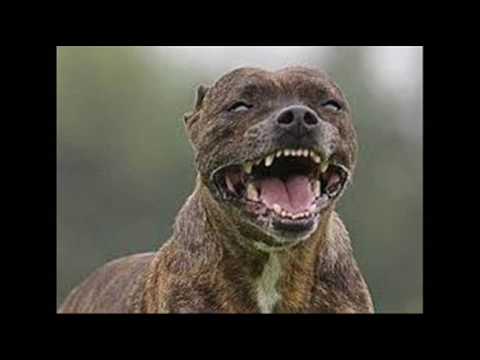 DJ Kennedy & DJ Grave House Mix 2016