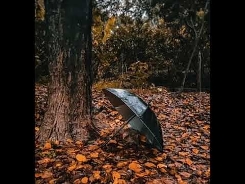 They - play fight nightcore/sped up