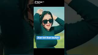 Download lagu Ikan teri ikan Louhan 💕 #dj #djremix #djviral #djtiktok mp3 Download lagu Ikan teri ikan Louhan 💕 #dj #djremix #djviral #djtiktok mp3