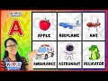 ABC Flashcards For Toddlers ABCD Alphabets For Kids Learn English Vocabulary With Miss V