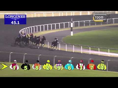 21.11.2013 Meydan (Dubai-UAE) 2.Race DUBAL Casthouse Trophy - Handicap 1.400 m