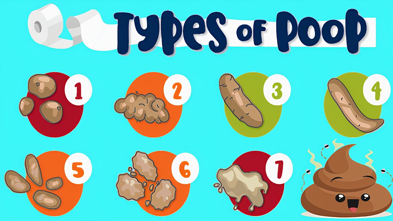 What are the 7 types of poop? Life Set Go