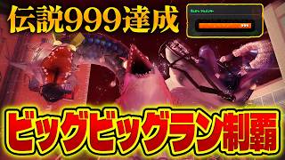 某伝説系ゲームの名誉教授が『ビッグビッグラン』で暴れます【スプラトゥーン3｜サーモンラン】