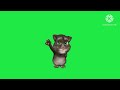Green Screen Tom