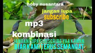 Download lagu SUARA PIKAT BURUNG JENGGOT RIBUT KOMPILASI SAERAN ABU CUCAK RANTING 💯 KOMBINASI JERNIH MP3 NYA mp3 Download lagu SUARA PIKAT BURUNG JENGGOT RIBUT KOMPILASI SAERAN ABU CUCAK RANTING 💯 KOMBINASI JERNIH MP3 NYA mp3