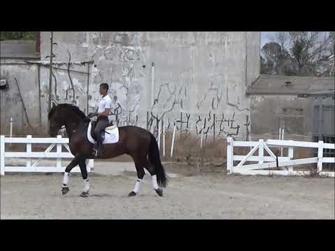 João Torrão & Equador MVL - Training Session - 2015-08-26