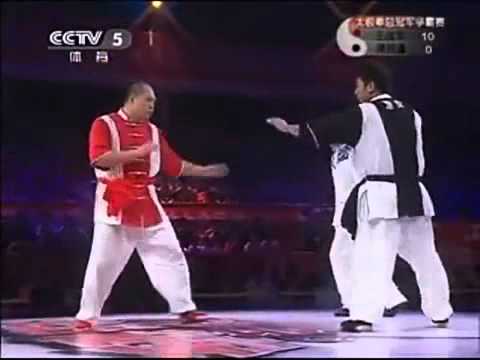 2011 Chen Tai Chi combat, Wang Zhanjun VS Fan Shuaixin