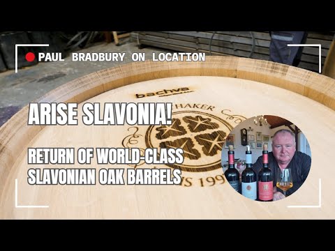Slawonien erwacht! Rückkehr der Weltklasse-Fässer aus slawonischer Eiche