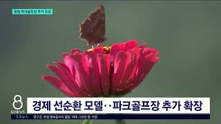 [G1뉴스]평창 백일홍 축제장에 파크골프장 조성