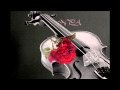 Le Violon Pleure 