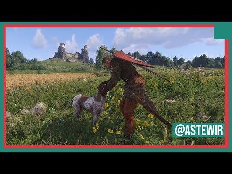 Kingdom Come Deliverance 2 - Houndmaster EASY Leveling Method, Guide, Quick Exp