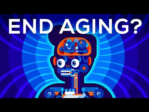 Why Age? Should We End Aging Forever?