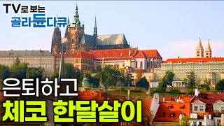 물가 저렴한 유럽에서 누구나 꿈꾸는 한달살이 로망ㅣ이번 연휴에 체코어때?ㅣ유럽에서 가장 아름다운 도시 프라하에서 야경 보며 와인 한잔ㅣ세계테마기행│#골라듄다큐