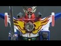 Brave Fighter Of Sun Fighbird Fighbird