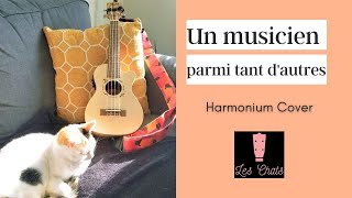 Un Musicien Parmi Tant D'Autres - Les Chats (Harmonium Cover)