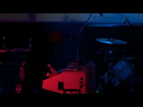 Sunflower Caravan - Thing On The Brain