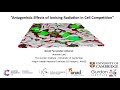 Antagonistic Effects Of Ionising Radiation In Cell Competition