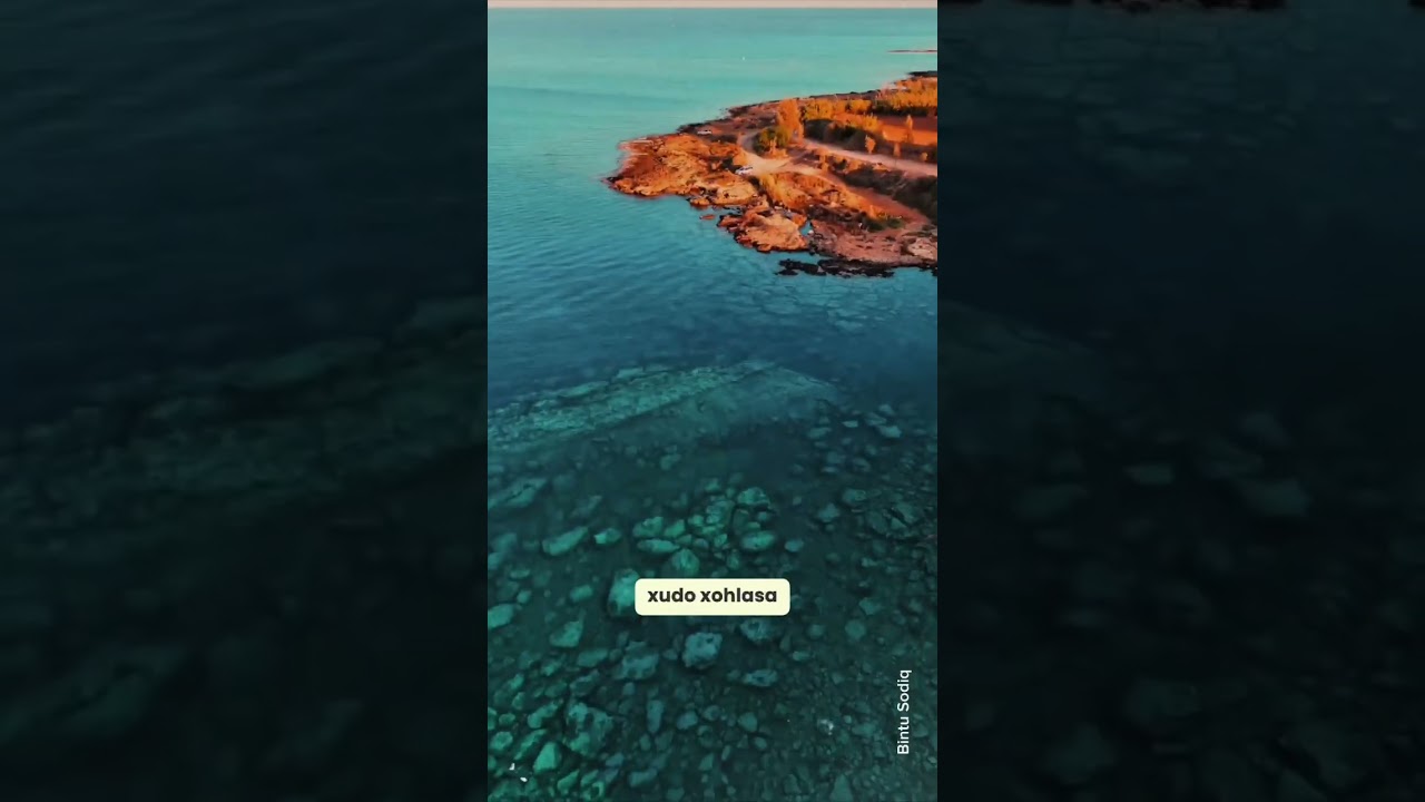 Maqol nima? Hol nima?