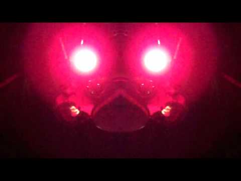 Helen Stellar "Telescope Eyes"