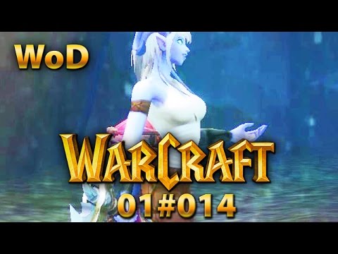 Warlords of Draenor 01#014 Yrel