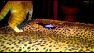 Stop the fucking music!!!! please!