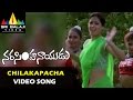 Narasimha Naidu Video Songs Chilakapachakoka Video Song Balakrishna Simran Sri Balaji Video