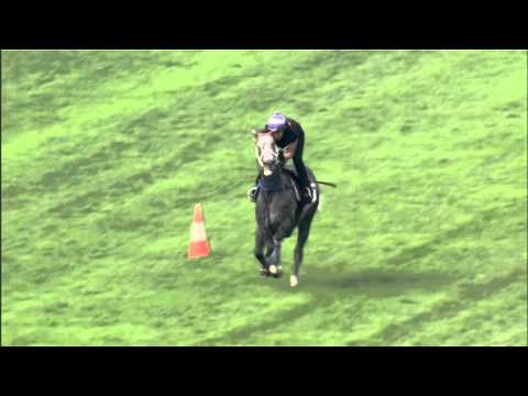 [Champions Mile & Chairman's Sprint Prize 2016] Tommy Berry interview