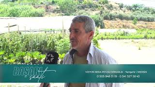 Vizyon Sera Peyzaj Mimarlık: Doğayla Uyumlu Estetik Yaşam Alanları! 🌿✨