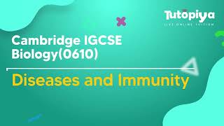 Diseases and Immunity