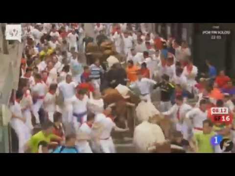 Awas Banteng!! achtung Stier!!   10.07.2016