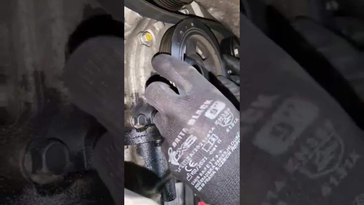 Engine timing seal leak
